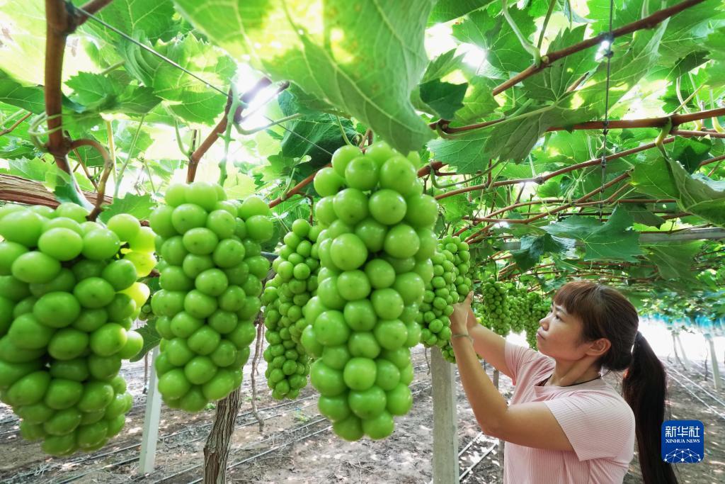 线上MG网址